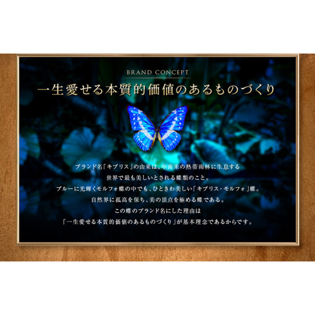 【キプリス】10枚カードケース■ボックスカーフ