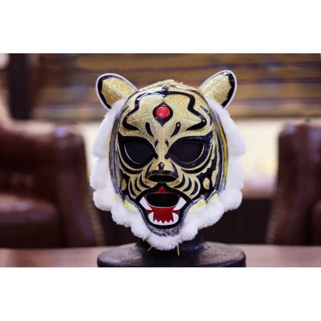 シャッテン (TFT伝説) 初代タイガーマスクモデル