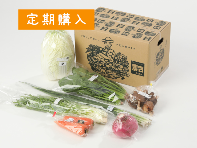 【定期便】ふたりで野菜セット