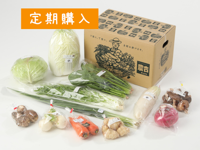 【定期便】家族で野菜セット