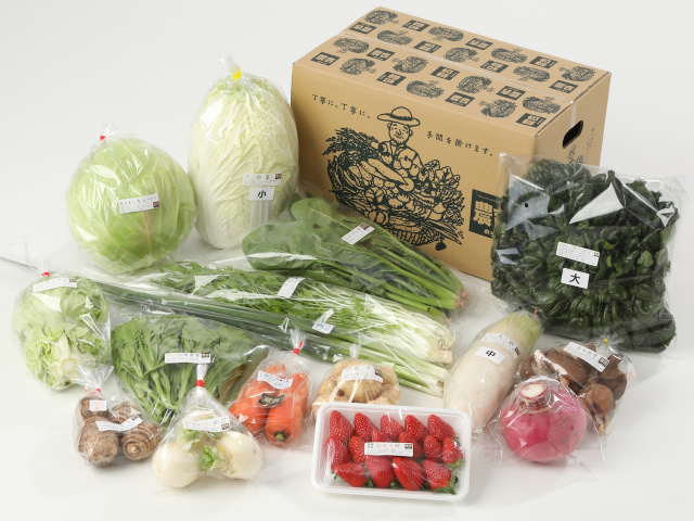 大きな家族の野菜セット