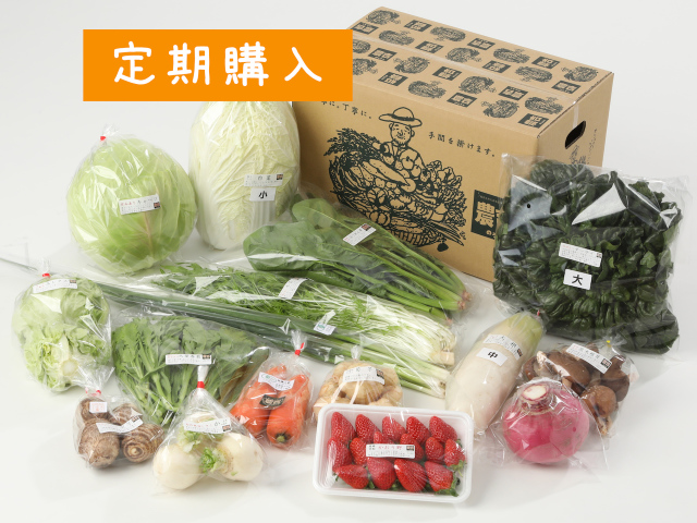 【定期便】大きな家族の野菜セット