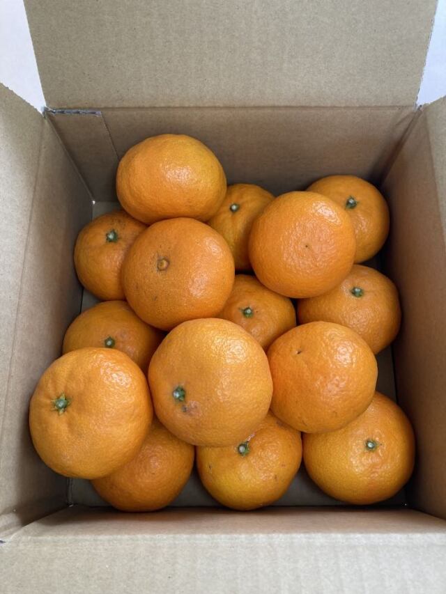 カラマンダリン（大崎上島産）2kg入り1箱