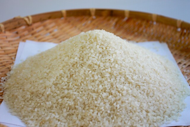 青木農園ひとめぼれ／玄米 5kg（白米4.5kg）／令和７年産