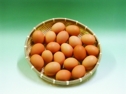 【送料無料】お試したまご