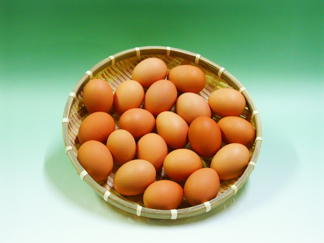【送料無料】お試したまご