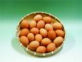 【送料無料】お試したまご