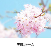 m様専用フォーム　小花ブルー入学入園グッズセット