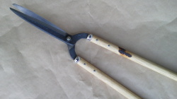 刈り込み門型青七寸