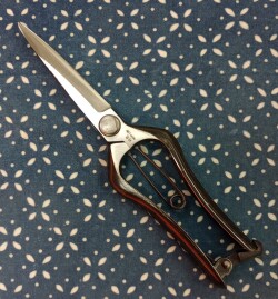 新芽切り両230-1