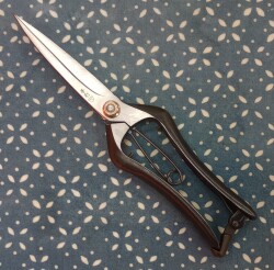 新芽切り230剪定1