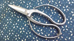 植木はさみステンレス１