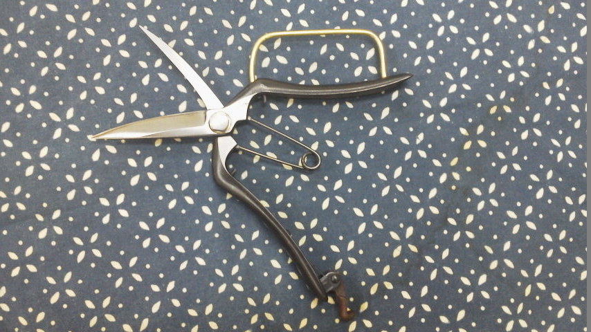 芽切り片刃２００輪付き２