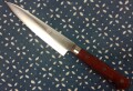 赤ハイスペティ1