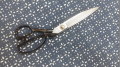 裁ちはさみ青九寸