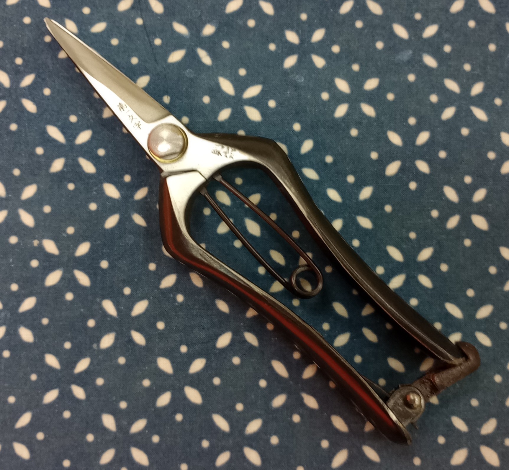 新芽切り両180-1