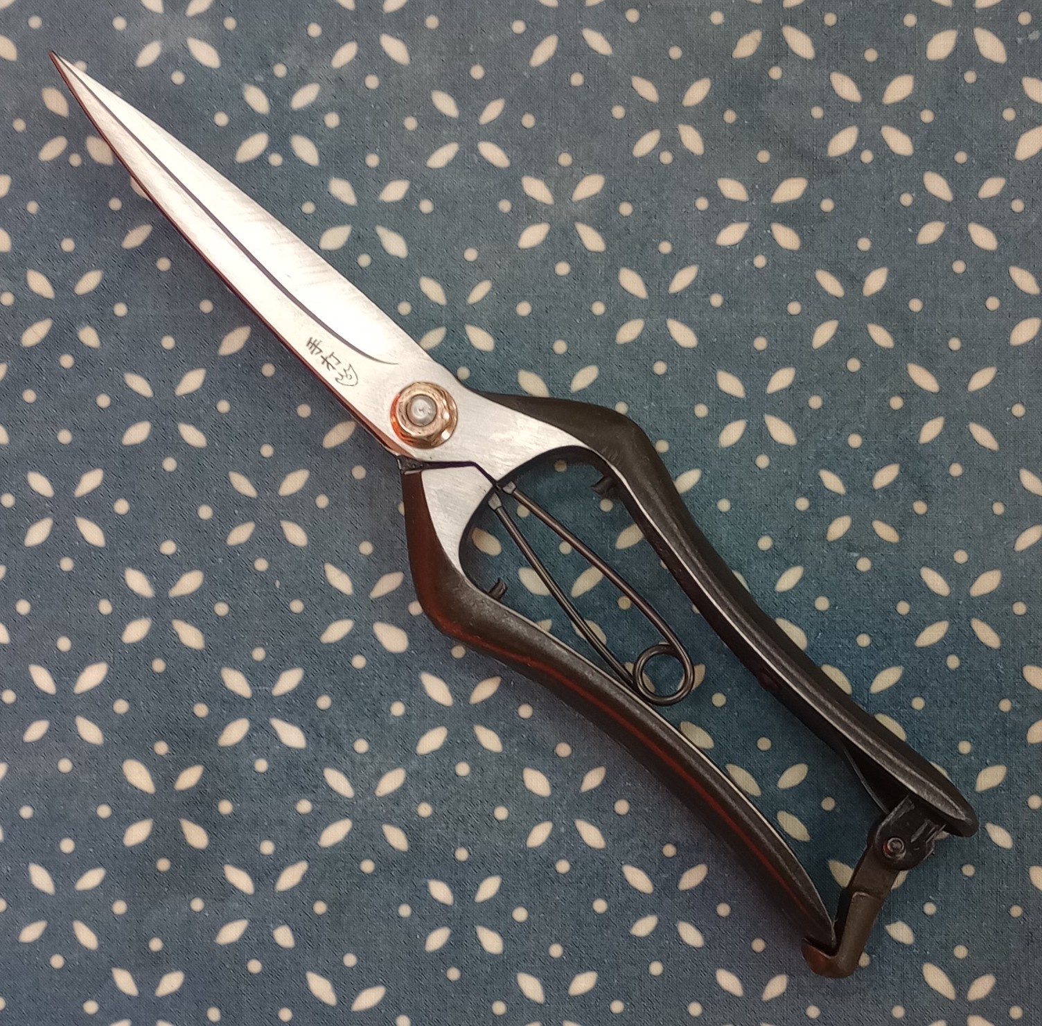 新芽切り230剪定1