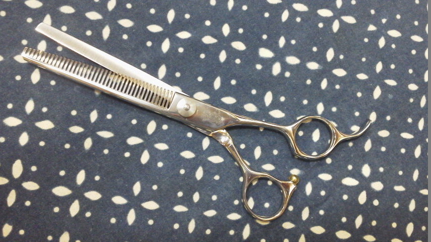 スキハサミ１６１００