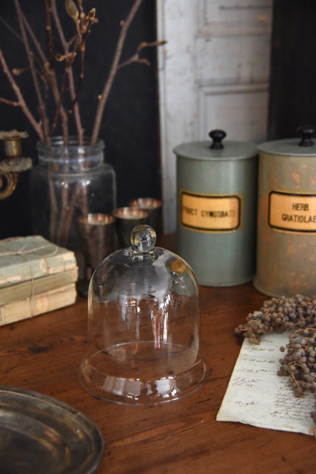 ベル型の小さなガラスドーム