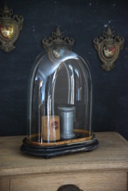 【標本☆アゲハ】アンティーク・ガラスドーム 雰囲気あるラウンドガラスドーム u