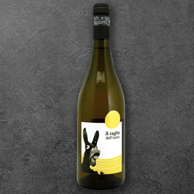 ラーリオ・デル・アージノ [2022] ラーチノ | NORTH FARM STOCK