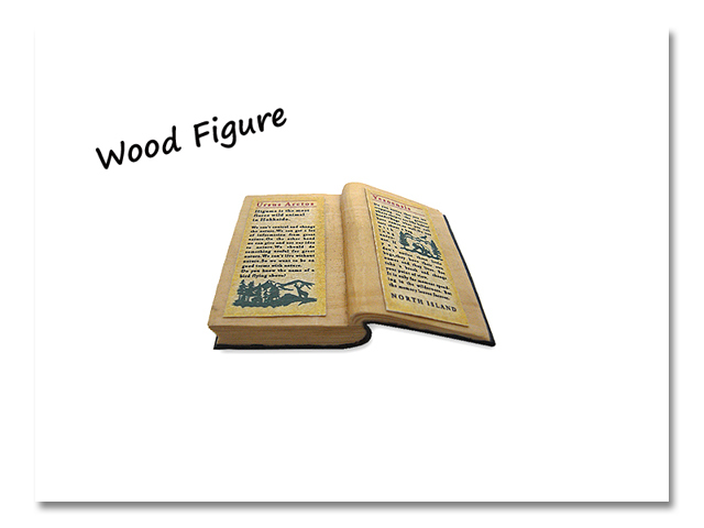 小熊出没 WOOD BOOKS 片開き