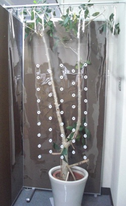 エアトースCミニLW