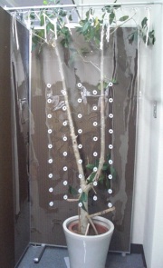 エアトースCミニLW