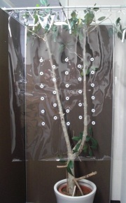 エアトースCミニSW