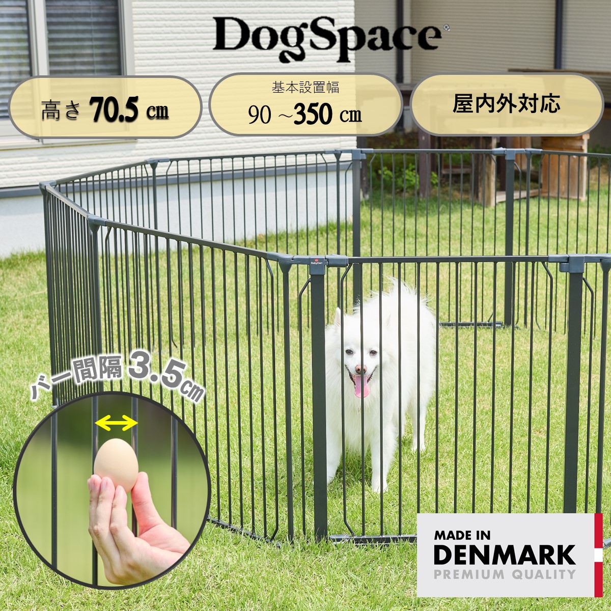 Dogspace