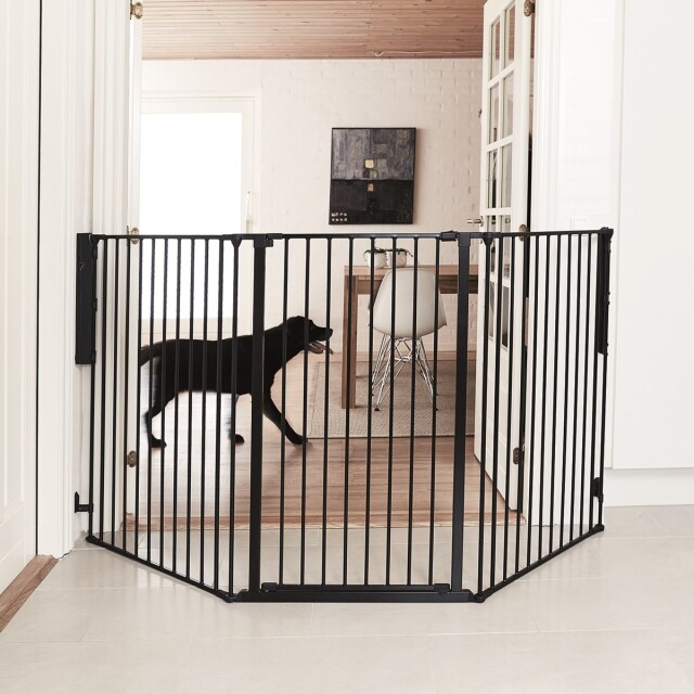 Dogspace