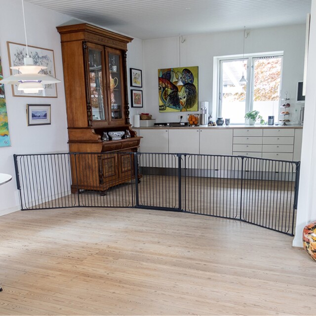 Dogspace