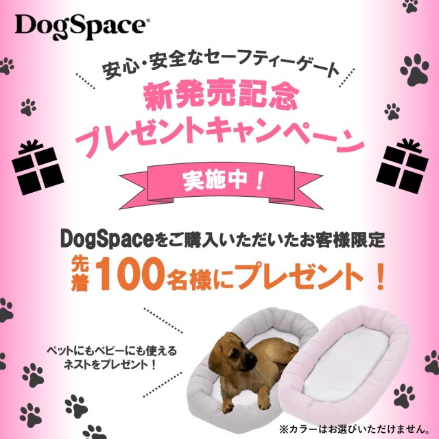 キャンペーン