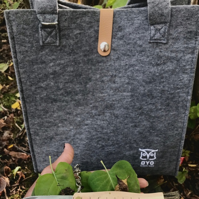 オヨフェルトバッグ２