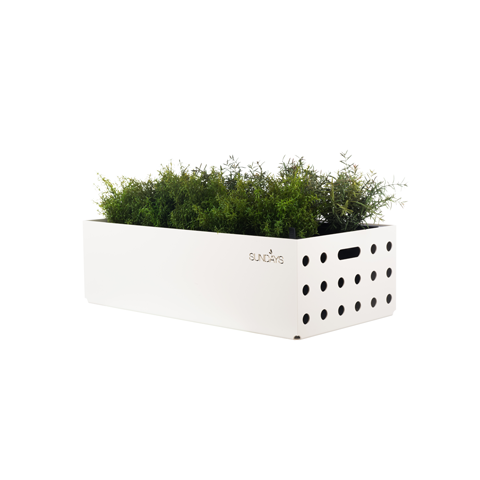 フレームプランター