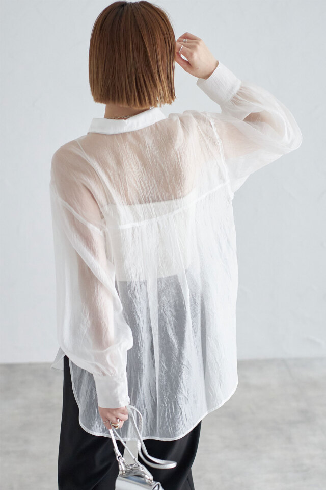 【カラー変更、サイズ指定無料】ピスタチオ　チップ　オーダー　シアー　ワンホン カラー変更、サイズ指定無料】ピスタチオ チップ オーダー シアー