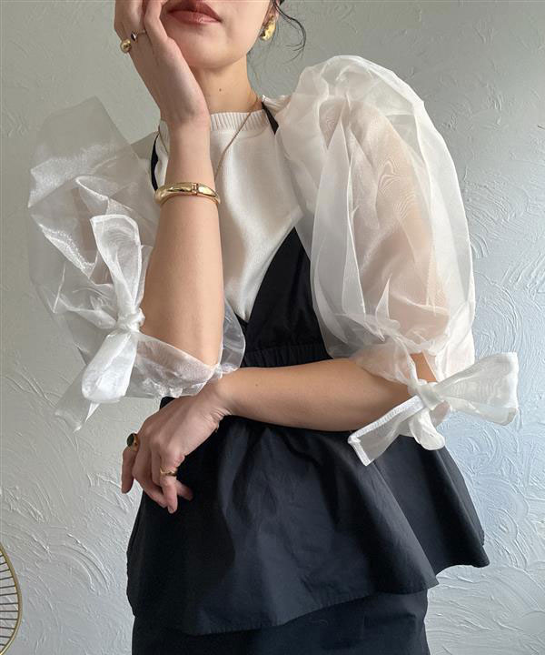 【リクエスト投票受付中！】袖ボリュームオーガンジートップス ※リクエスト結果により商品化しない場合があります。