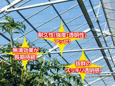 スーパーダイヤスター