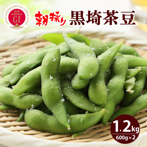 【予約販売】朝採り 黒埼茶豆1.2kg（600g×2袋） 送料無料 ※8月より順次発送となります。