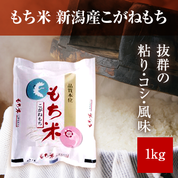 新潟産もち米1kg（こがねもち）令和7年産