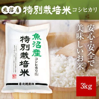 魚沼産コシヒカリ 特別栽培米3kg 令和7年産