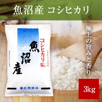 魚沼産コシヒカリ3kg 令和6年産