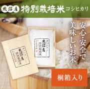 魚沼産コシヒカリ特別栽培米3kg 令和7年産 〈謹製 桐箱入〉
