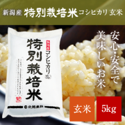 コシヒカリ玄米