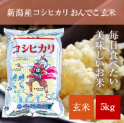 コシヒカリ玄米