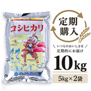 【定期購入】 新潟産コシヒカリ おんでこ10kg（5kg×2袋）
