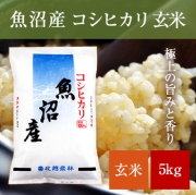 新潟県産コシヒカリ玄米令和5年産 2024年新潟産コシヒカリ玄米5kg | 玄米, 新潟産コシヒカリ玄米