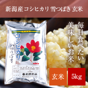 RARA出品 令和2年産新潟コシヒカリ　玄米5kg×4個 echigo-inahoya_musen-niigata20k