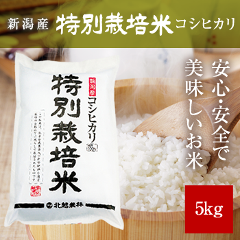 新潟産コシヒカリ 特別栽培米5kg 令和6年産