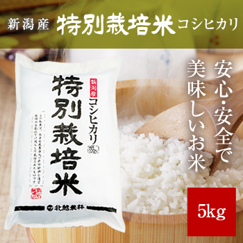 新潟産コシヒカリ 特別栽培米5kg 令和5年産